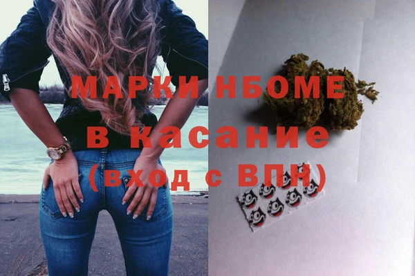 сатива Алексеевка