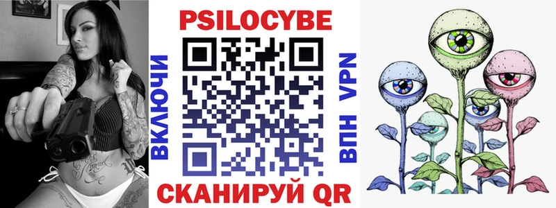shop наркотические препараты  Терек  Псилоцибиновые грибы Magic Shrooms  где можно купить наркотик  kraken вход 